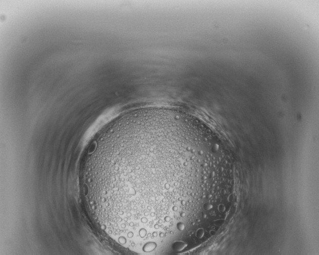 X0000060770198200511171222