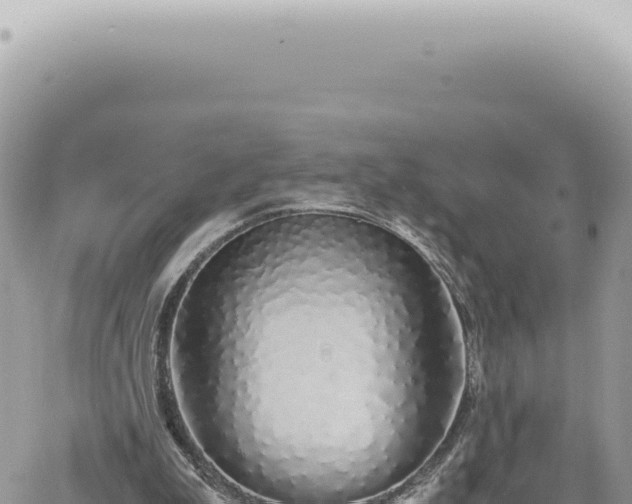 X0000060770199200511171222