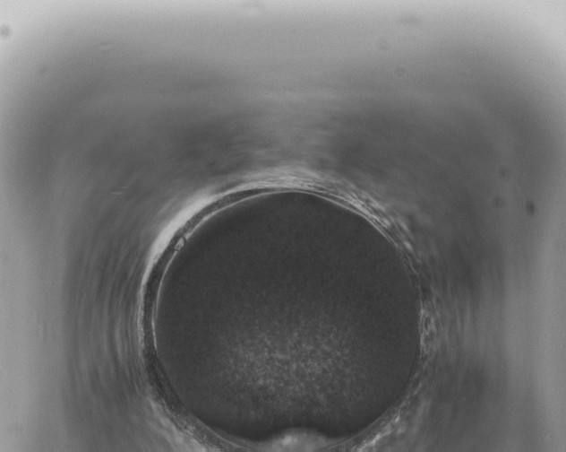 X0000060770200200511171222