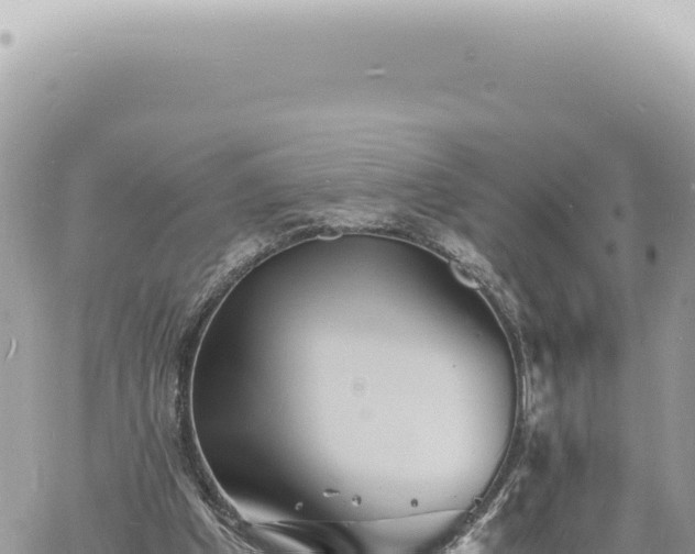 X0000060770201200511171222