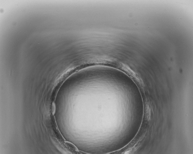 X0000060770203200511171222