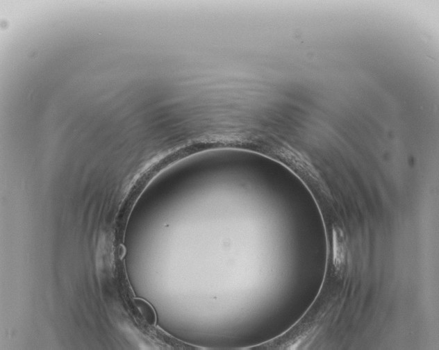 X0000060770204200511171222