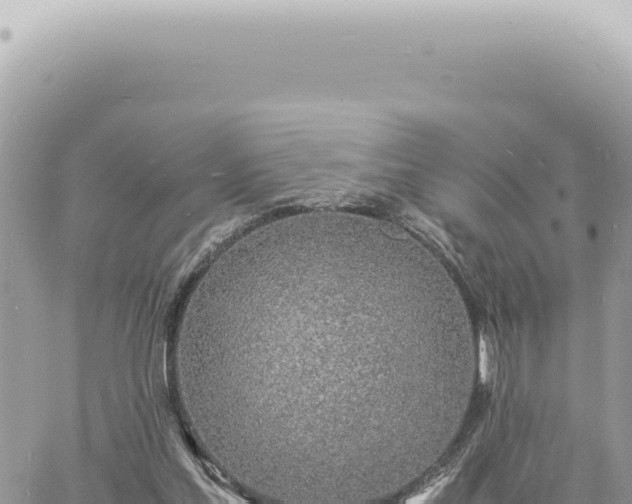 X0000060770205200511171222