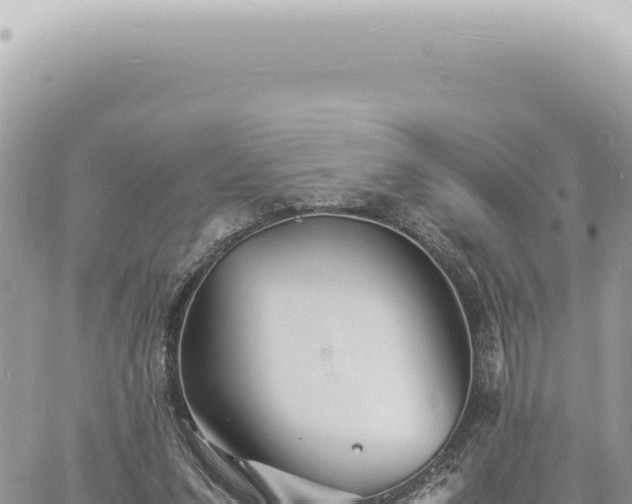 X0000060770207200511171222