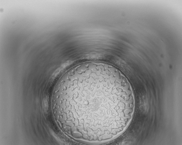 X0000060770208200511171222