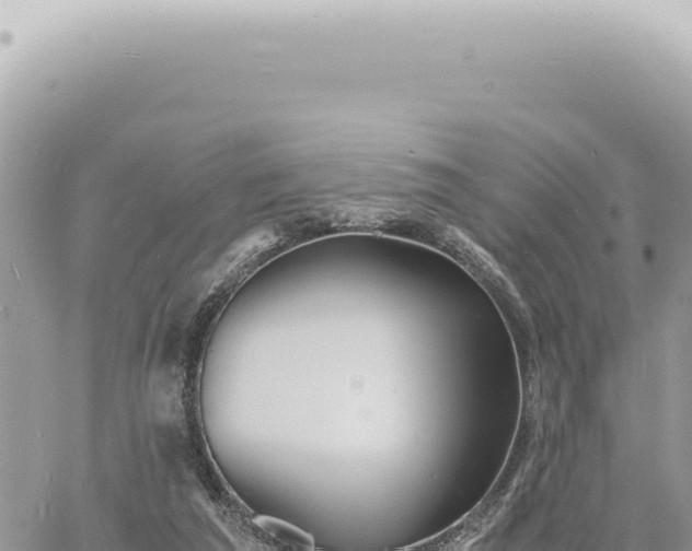 X0000060770209200511171222