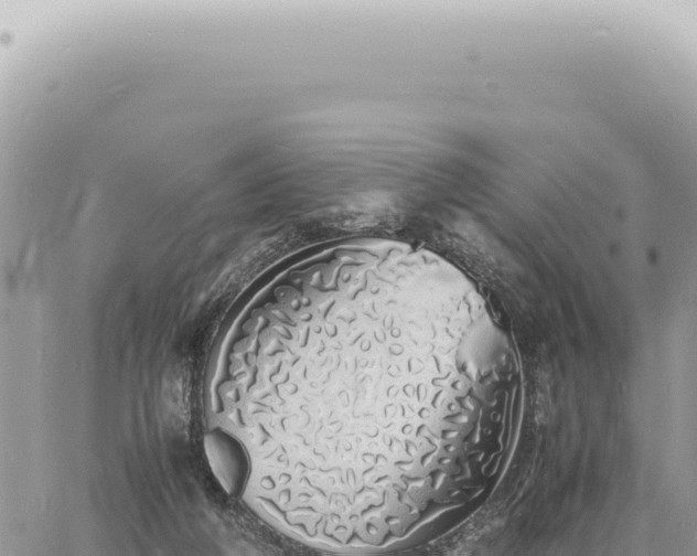 X0000060770210200511171222