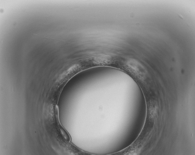 X0000060770211200511171222