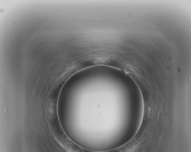 X0000060770215200511171221