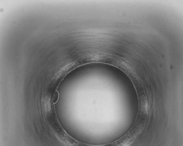 X0000060770216200511171221