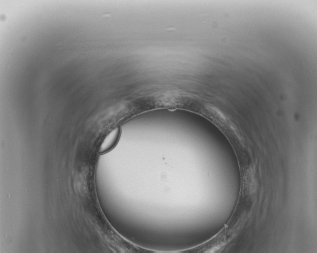 X0000060770217200511171221