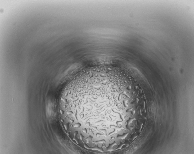 X0000060770218200511171221