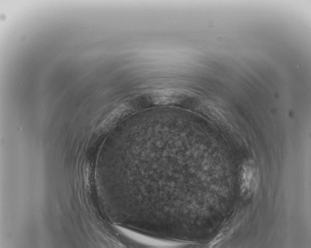 X0000060770219200511171221