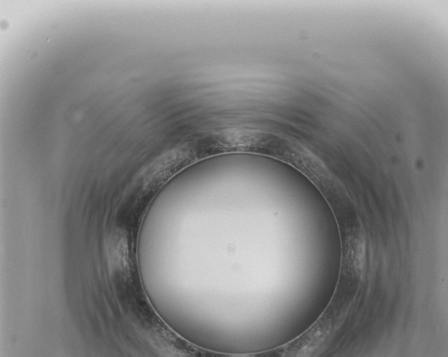 X0000060770220200511171221