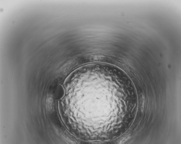 X0000060770222200511171221