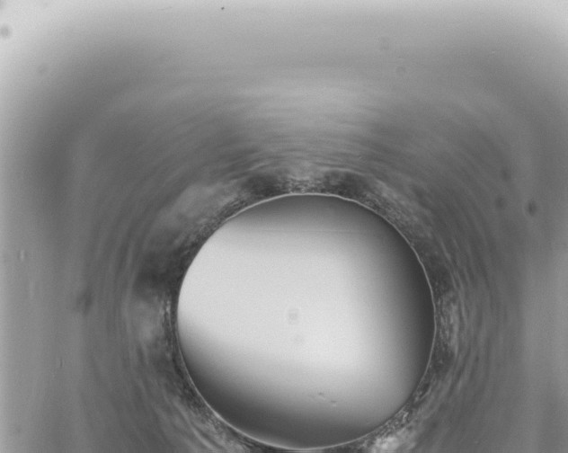 X0000060770225200511171221