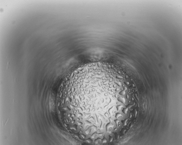 X0000060770226200511171221