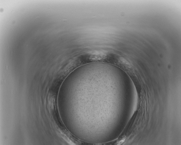 X0000060770227200511171221