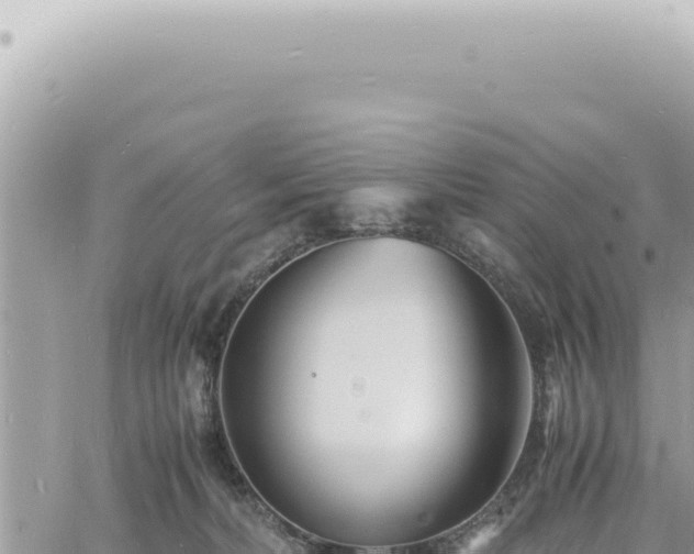 X0000060770228200511171221