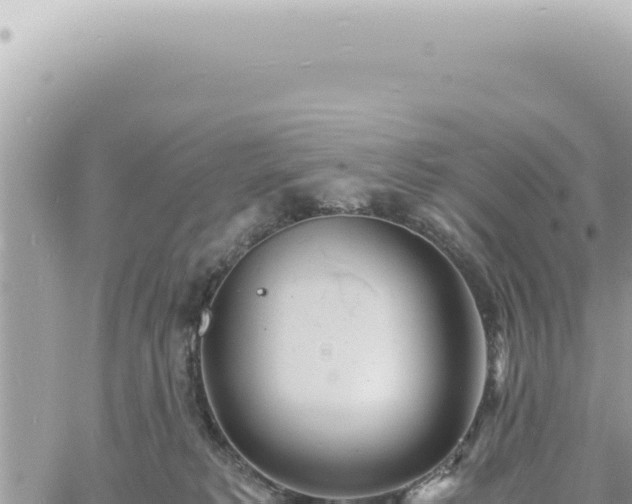 X0000060770229200511171221