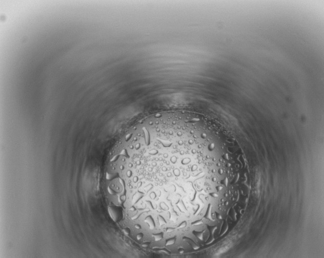 X0000060770230200511171221