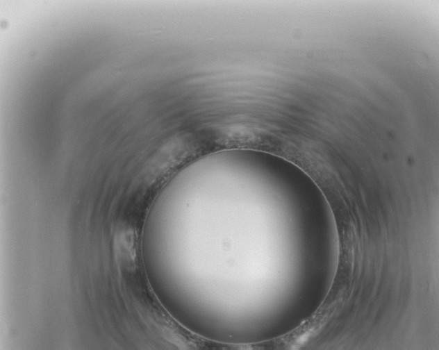 X0000060770232200511171221