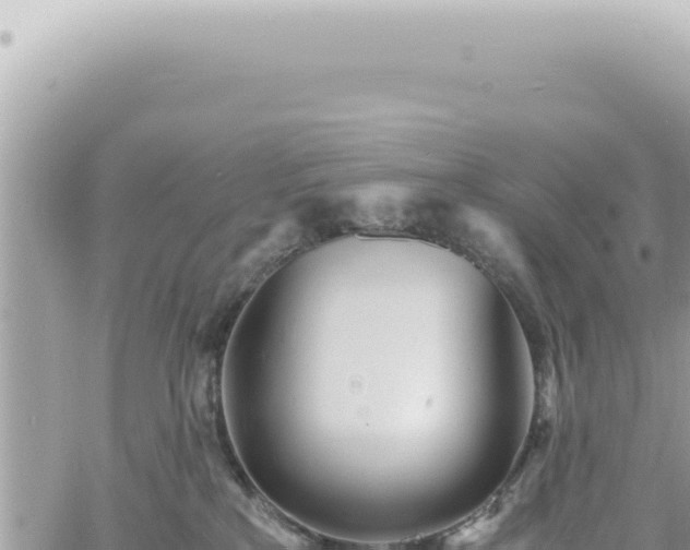 X0000060770233200511171221