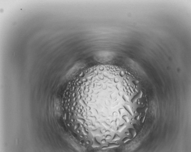 X0000060770234200511171221