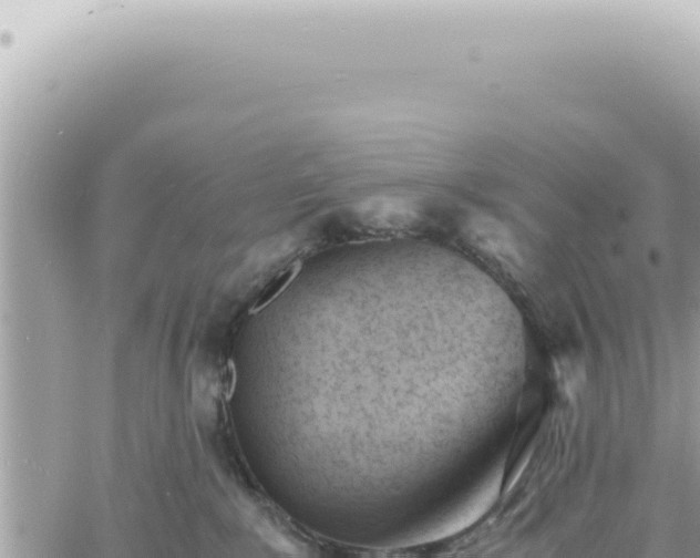 X0000060770235200511171221