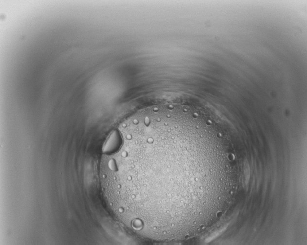 X0000060770236200511171221