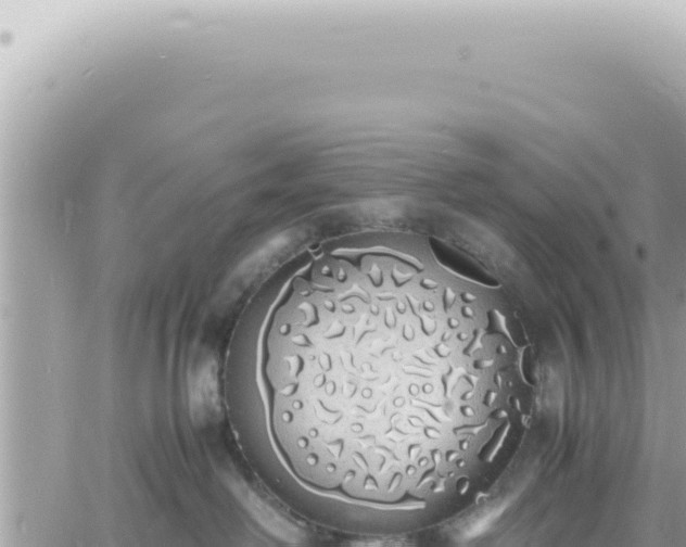 X0000060770238200511171221