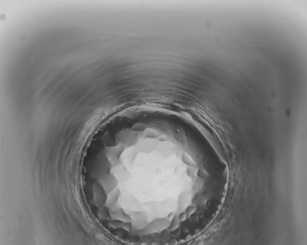 X0000060770241200511171220