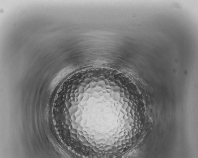 X0000060770242200511171220