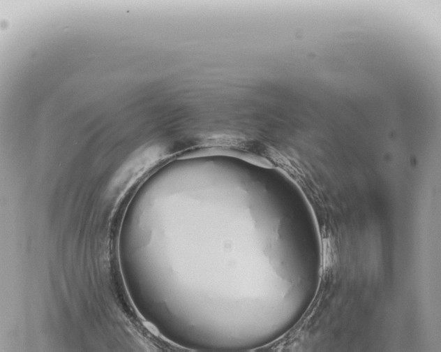 X0000060770243200511171220