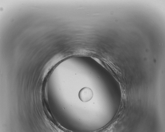 X0000060770244200511171220