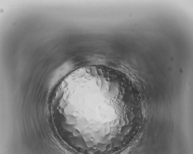 X0000060770245200511171220