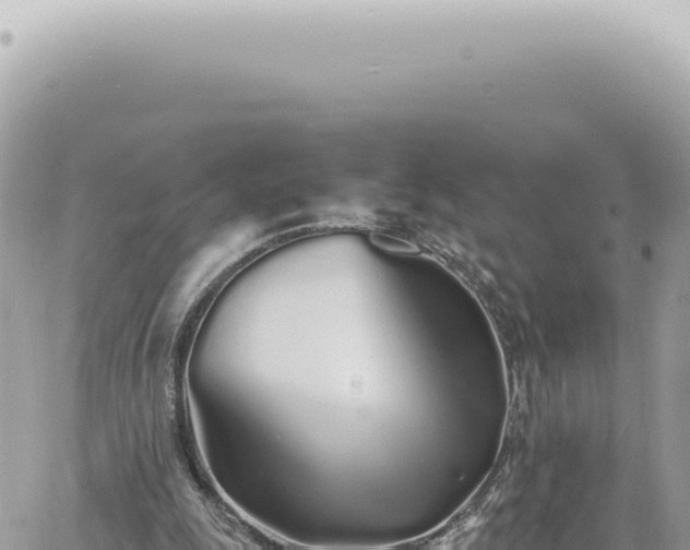 X0000060770247200511171220