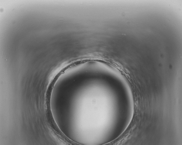 X0000060770248200511171220