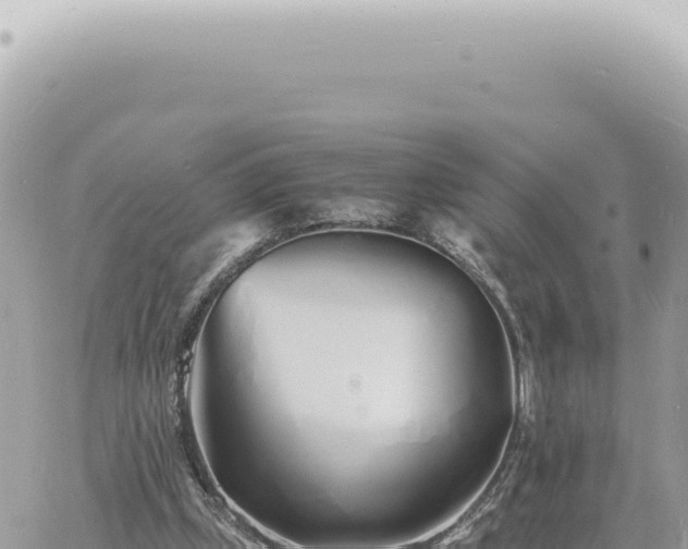 X0000060770249200511171220