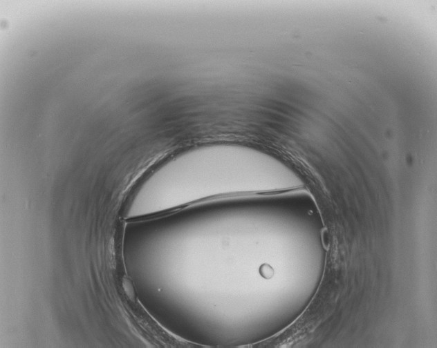 X0000060770251200511171220