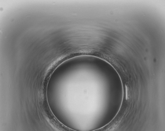 X0000060770252200511171220