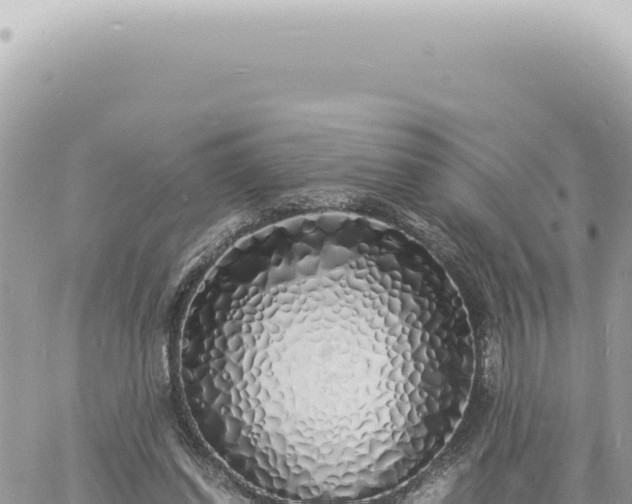 X0000060770254200511171220