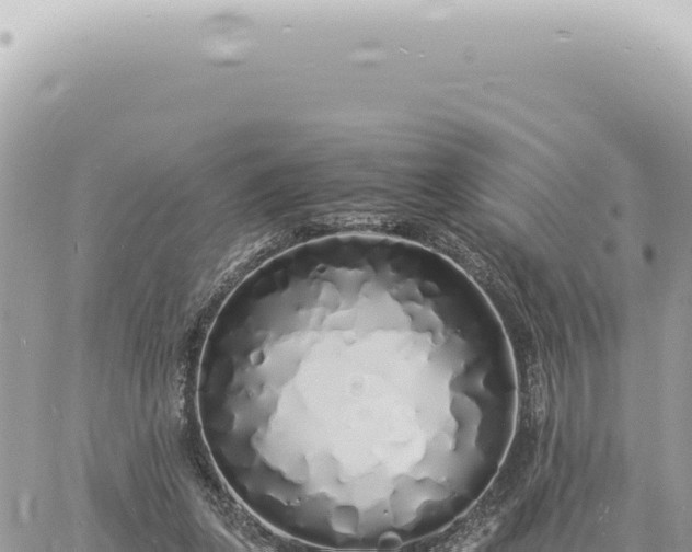 X0000060770255200511171220