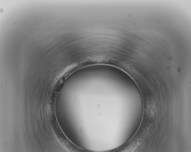 X0000060770256200511171221