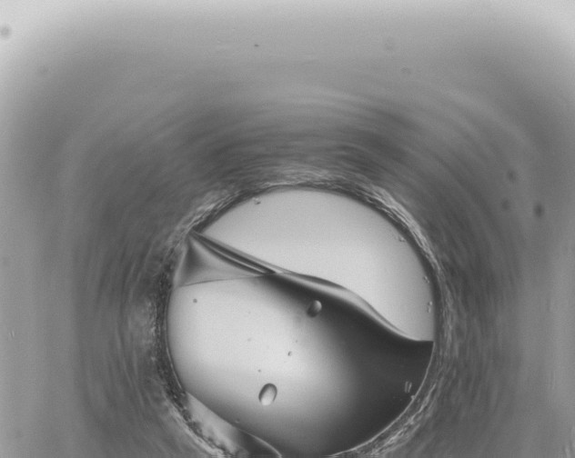 X0000060770257200511171221