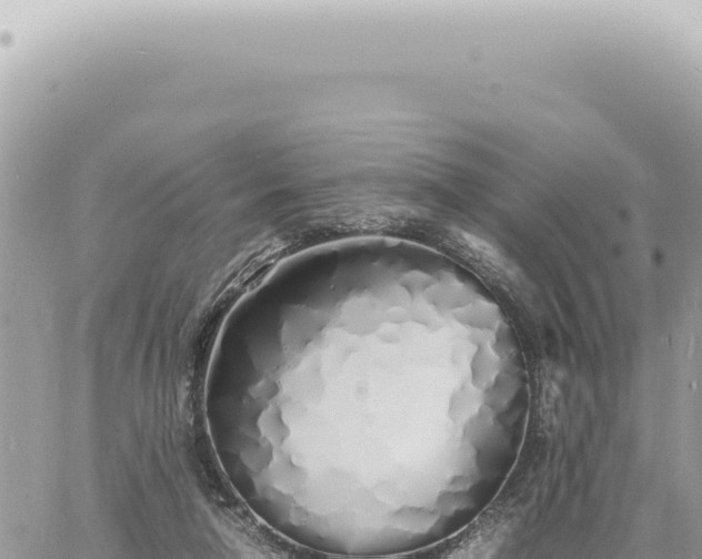 X0000060770258200511171221