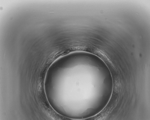 X0000060770259200511171221