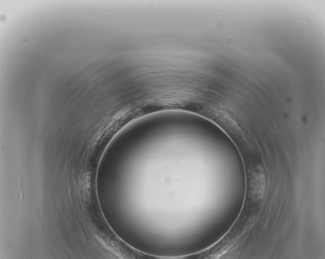 X0000060770260200511171221