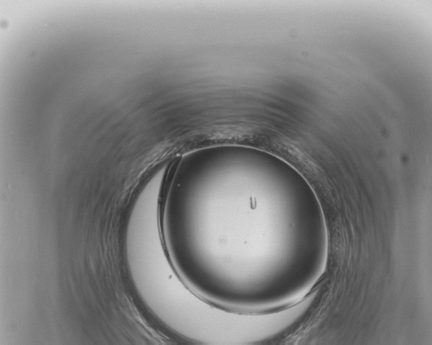 X0000060770261200511171221