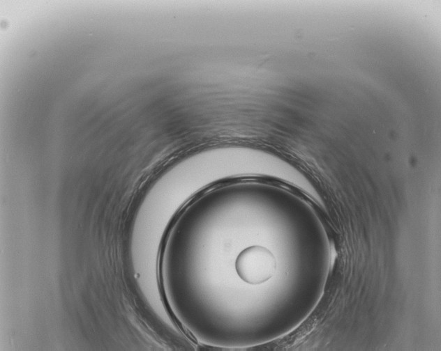 X0000060770262200511171221